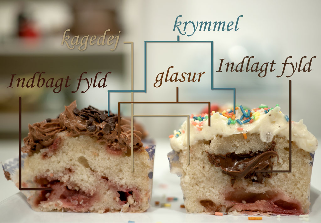 Anatomien af en cupcake
